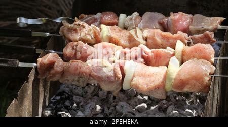 Summer holidays Fresh and juicy pieces of meat for shish kebab are fried on wood-fired grill. Grilled meat cooked on grill. Oriental dish, barbecue. A Stock Photo