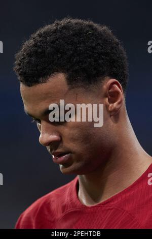 Madrid, Spain. 15th Mar, 2023. Liverpool's Cody Gakpo reacts during the UEFA Champions League Round of 16 2nd Leg match between Real Madrid and Liverpool FC in Madrid, Spain, on March 15, 2023. Credit: Meng Dingbo/Xinhua/Alamy Live News Stock Photo