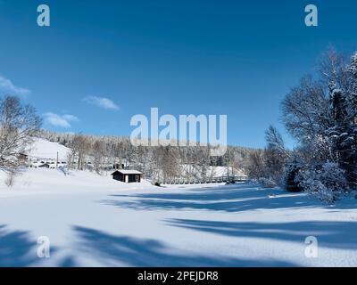 Serene Swedish winter landscape with a small cabin nestled in snow-covered trees Stock Photo