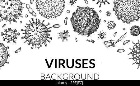 Virus horizontal background in sketch style. Hand drawn bacteria, germ, microorganism. Microbiology scientific design. Vector illustration in sketch s Stock Vector