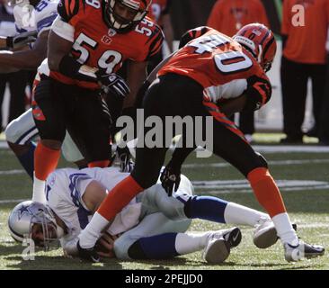 10 September 2007: Cincinnati Bengals Landon Johnson (59) against the  Baltimore Ravens in their NFL football game at Paul Brown Stadium in  Cincinnati, Ohio. (Icon Sportswire via AP Images Stock Photo - Alamy