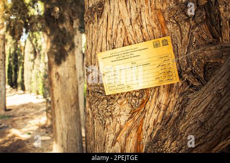 Kashan, Iran - 27th may, 2022: traditional persian Fin garden Kashan, Iran Stock Photo