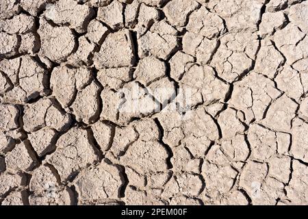 a close up view of a cracked and dry surface of mud Stock Photo