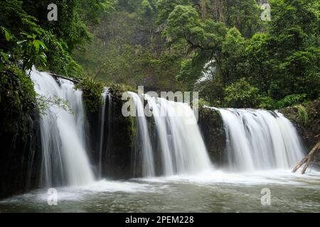 Nandroya Falls in Wooroonooran National Park, Queensland, Australia Stock Photo