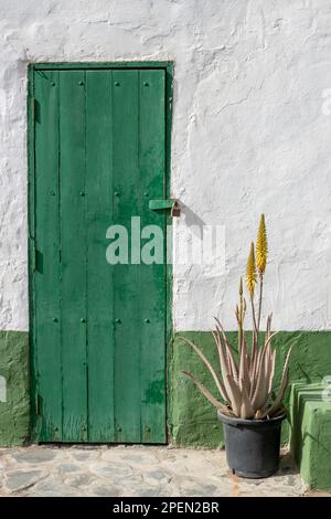 Closed green wooden door, hanging lock. White facade and green details. Blooming plant in a pod. Los Molinos, Fuerteventura, Canary Islands. Stock Photo