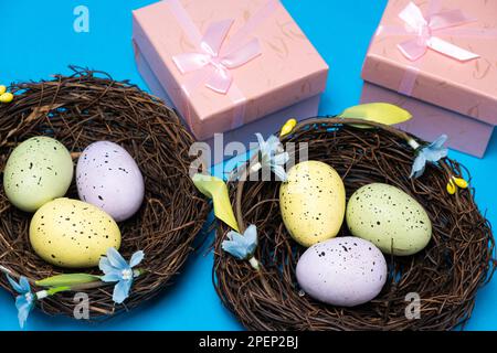 Gifts for Easter, Easter sale. Eggs in nests and gift boxes on a blue background. Stock Photo