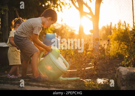 Playfull boy holding a heavy watering can watering flowers in the garden, family activity of the weekend at sunset. Sunny day at sunset lite. Little Stock Photo