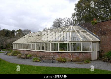 Large Victorian glasshouse (greenhouse) in the garden at Greenway, Galmpton, Devon, England, UK Stock Photo