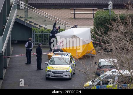 London, UK. 16th March 2023. A man has died after falling from height at the Aragon Tower on the Pepys Estate, Deptford, early this morning. Police were called to the scene at 7.13am today and a cordon remains in place around the 29-storey residential block. Officers attended with London Ambulance Service and a man in his thirties was pronounced dead at the scene. The death is being treated as unexpected and police are conducting further enquiries to establish the circumstances. Credit: Guy Corbishley/Alamy Live News Stock Photo