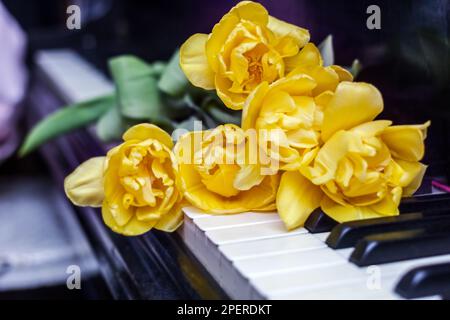 Real charming yellow tulips on piano keyboard for important moment of life Stock Photo