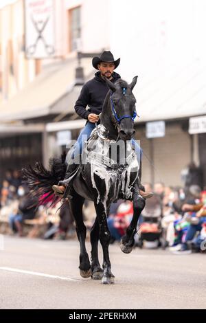 Brownsville, Texas, USA - February 26, 2022: Charro Days Grand International Parade, Cowboys riding beautiful horses at the parade Stock Photo