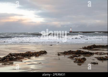 Rough seas in front of the Harbour Entrance Light Tower, Berwick-Upon-Tweed Stock Photo