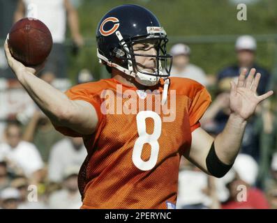 Rex Grossman Chicago Bears editorial photo. Image of teamwork