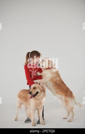 Little girl is with two Golden retrievers in the studio against white background Stock Photo