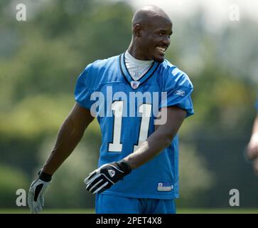 Detroit Lions rookie wide receiver Roy Williams hauls in the ball in front  of receivers coach Kevin Higgins during his first day of training camp  Monday, Aug. 2, 2004, in Allen Park