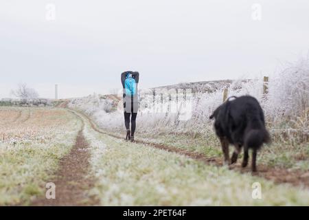 Woman doing stretching exercises while walking her dog in a field on a cold frosty and frozen morning. Stock Photo