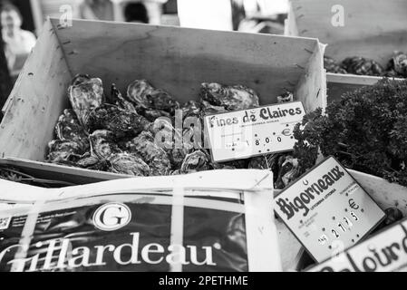 Saint-Maur-des-Fosses, France - October 8, 2022: Fresh Gillardeau oysters and clams for sale at street market at Parisian suburb. Black white photo Stock Photo
