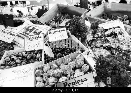 Saint-Maur-des-Fosses, France - October 8, 2022: Fresh Gillardeau oysters and clams for sale at street market at Parisian suburb. Black white photo Stock Photo