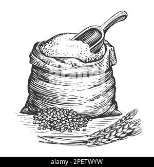 Sack or burlap bag with wholemeal bread flour, barley grains, wooden scoop and ears of wheat. Farm food sketch Stock Photo