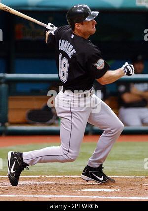 Florida Marlins Jeff Conine(18) celebrates with teammates after scoring in  the 5th inning against the New York Yankees in game 5 of the 2003 MLB World  Series, at Pro Player Stadium, Miami