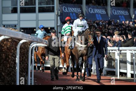 Race 4 The Unibet Champion Hurdle.   Constitution Hill ridden by Nico de Boinville leads the horses out to the course before the race    Racing at Che Stock Photo