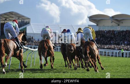 Race 4 The Unibet Champion Hurdle.   Horses on the first circuit    Racing at Cheltenham Racecourse on Day 1 of The Festival, the celebration of Natio Stock Photo