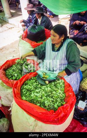 Bolivia, selling coca leaves on the market in  Potosi . The leaves are chewed by the miners of Potosi as a stimulant and to calm nerves. Stock Photo