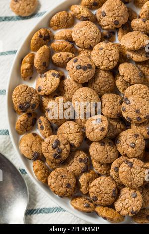 Crispy Chocolate Chip Cookie Breakfast Cereal with Milk Stock Photo