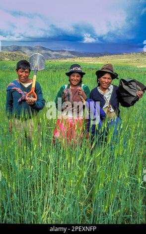 Bolivia, Potosi area. Man en women ready for work in the field. Stock Photo