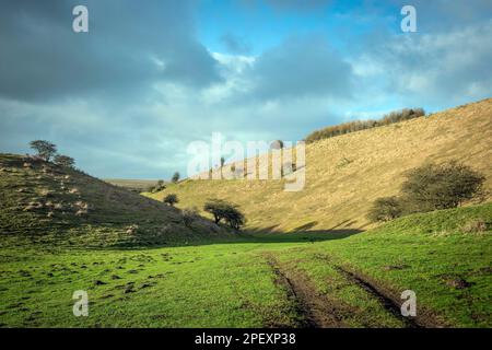 A typical Yorkshire Wolds dry chalk valley near Huggate, East Yorkshire Stock Photo