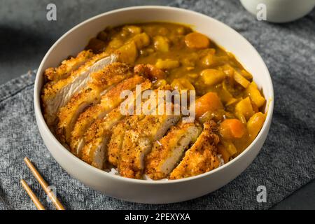 Japanese Chicken Katsu Curry Stew with Rice Stock Photo