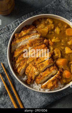 Japanese Chicken Katsu Curry Stew with Rice Stock Photo