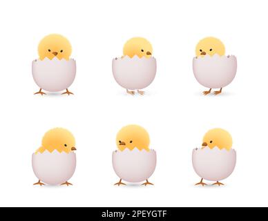 Chicks in lower part of white broken eggs  set Stock Vector
