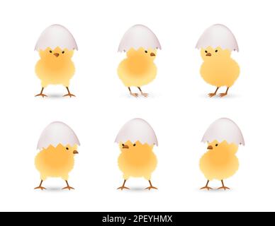 Chicks in upper part of white broken eggs set Stock Vector