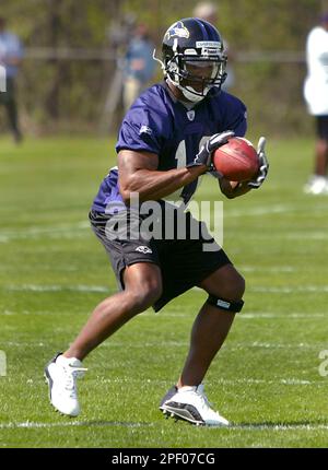 Baltimore Ravens Devard Darling during the game against the