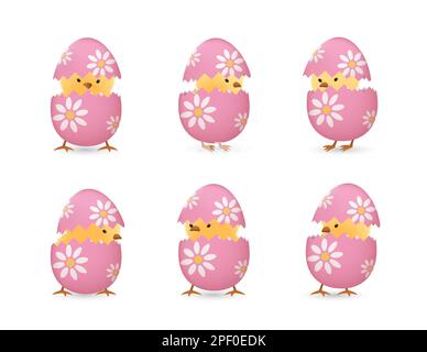 Chicks in broken Easter eggs with flowers set Stock Vector