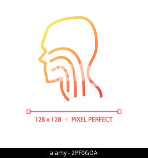 Trachea pixel perfect gradient linear vector icon Stock Vector