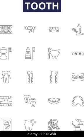 Tooth line vector icons and signs. Dental, Dentition, Enamel, Toothache, Cavity, Incisor, Molar, Canine outline vector illustration set Stock Vector