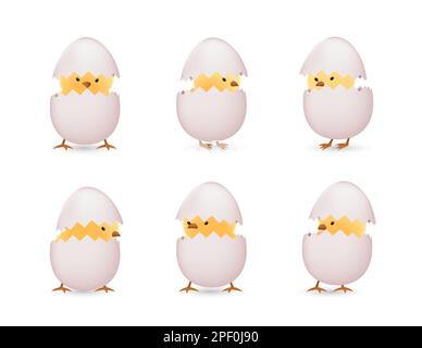 Chicks in white broken eggs  set Stock Vector