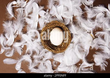A woman's hand puts a large white egg in the nest. Fresh eco products, egg in nest on brown background, chicken feathers flying. Chicken egg, food, na