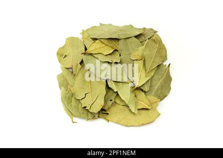 Pile of dry laurel leaves isolated on white background Stock Photo