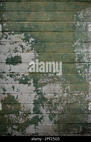 Cinder block wall with green peeling paint Stock Photo
