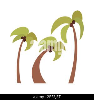 Simple colored flat set of tropical palm trees with coconuts. Collection of summer isolated illustrations, elements, objects, cliparts, icons. For boo Stock Vector