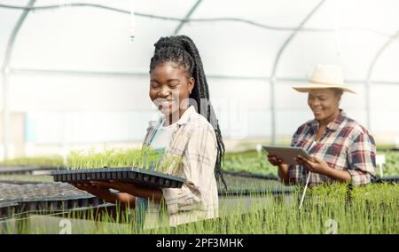 Smiling farmers working together in a greenhouse. farmers planning with a wireless online tablet. African american farmers walking through a garden Stock Photo