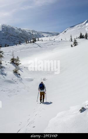 Scaling snowy peaks on skis as a freerider. Winter mountains ascent in a stunning mountainous landscape Stock Photo
