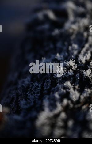 Ice crystals on a log Stock Photo