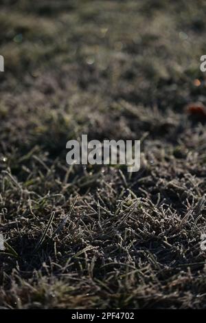 Frozen grass field with blur, bokeh, sparkles background Stock Photo