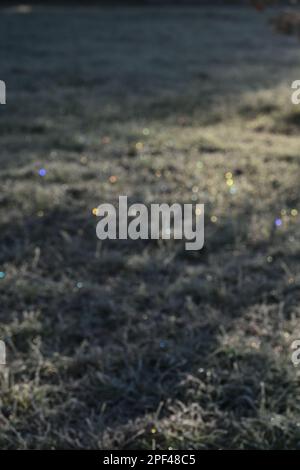 Frozen grass field with blur, bokeh, sparkles background Stock Photo