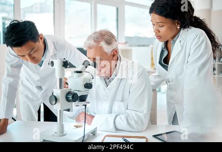 Conducting research to support the development of cannabis policies and regulations. a group of scientists using a microscope to analyse a marijuana Stock Photo