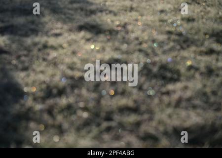 Frozen grass field with blur, bokeh, sparkles background Stock Photo